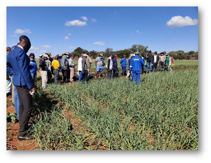 Douglas Msipa breaks new farming grounds
