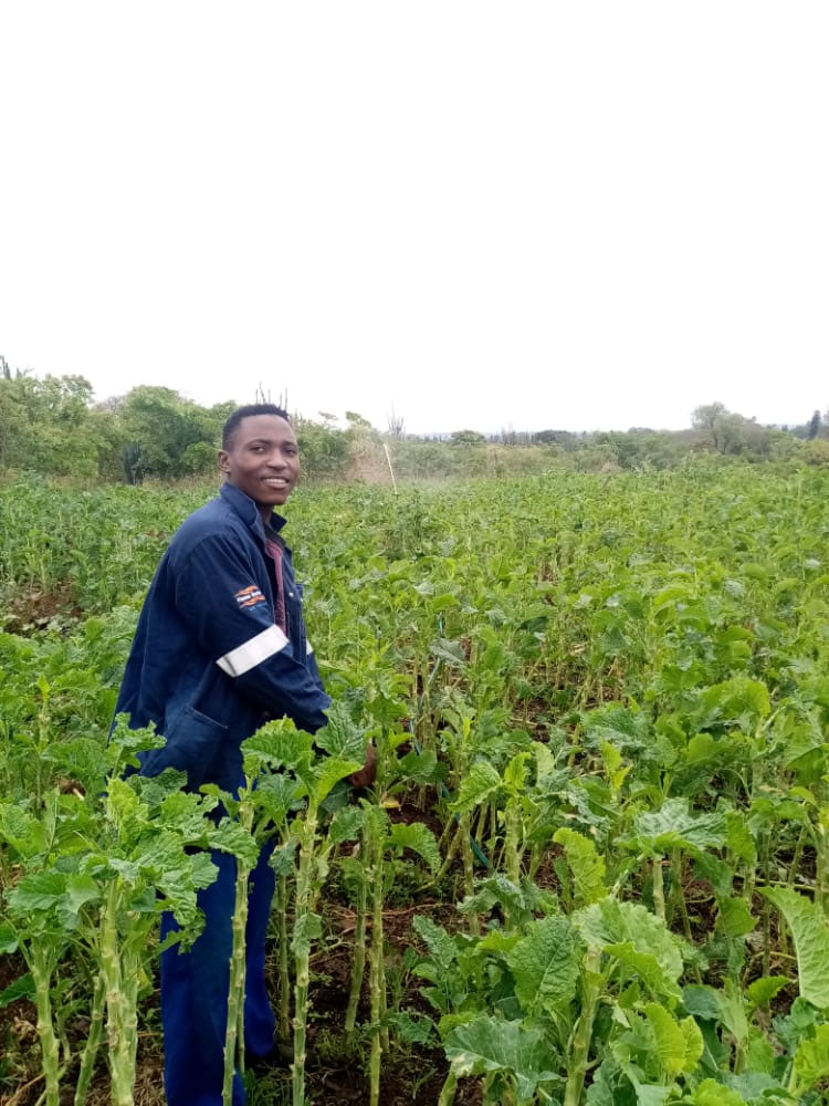 A new leaf for young farmers