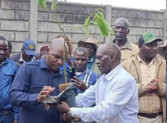 Manhize Park set to accommodate more than 300 companies